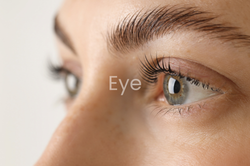 Eyebrow Shape